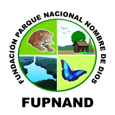 logo FUPNAND